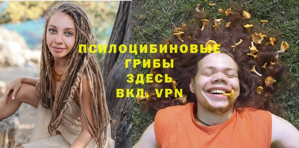 mix Белокуриха