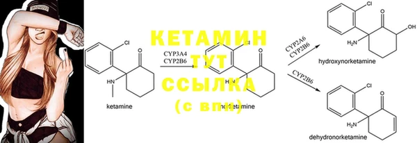 mix Белокуриха