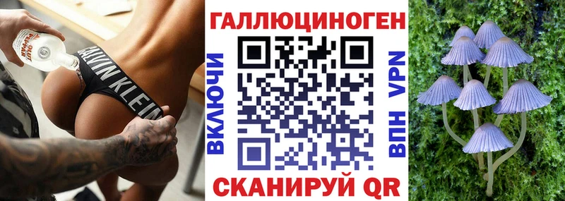 Псилоцибиновые грибы мицелий  mega ТОР  Ядрин 