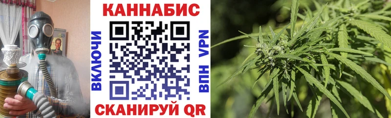 Конопля планчик  Ядрин 